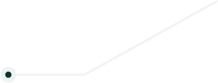 Pointer 5